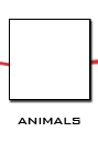 animals